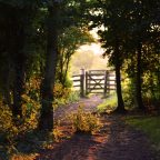 The keeper of the gate is the Holy One of Israel